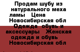 Продам шубу из натурального меха ламы › Цена ­ 15 000 - Новосибирская обл. Одежда, обувь и аксессуары » Женская одежда и обувь   . Новосибирская обл.